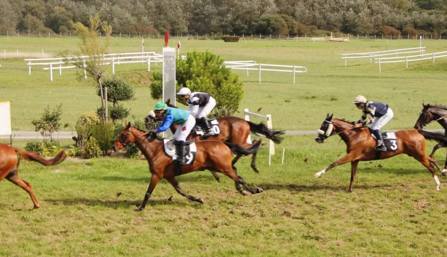 filière turf || la filière turf || la filiere || lafiliere65 || filiere turf